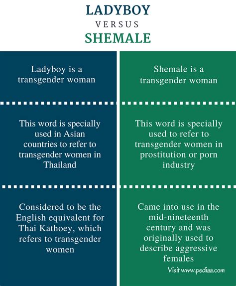 what is a shemale|Difference Between Transgender and She